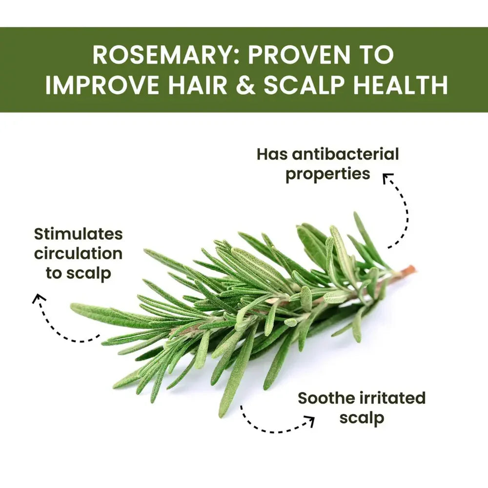 Rosemary Water Spray | For Hair Regrowth (Buy 1 Get 2 Free 😍)